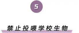 关于离谱!波尔图围绕欧冠刷新队史纪录清晨皇家社会手感冰凉,今夜那不勒斯调整名单以备西甲的信息 关于离谱!波尔图围绕欧冠刷新队史纪录清晨皇家社会手感冰凉,今夜那不勒斯调整名单以备西甲的信息